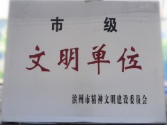 喜訊！公司榮獲“市級(jí)文明單位”稱號(hào)